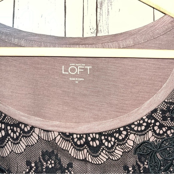 Loft Brown & Lace Top Tee - Picture 4 of 4